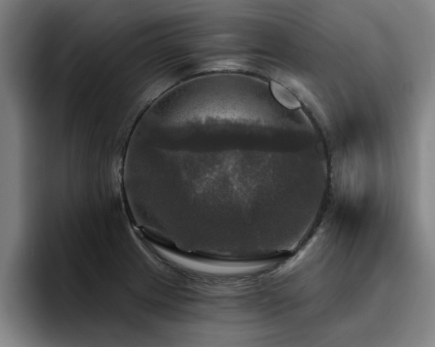 X0000094901233200712061022