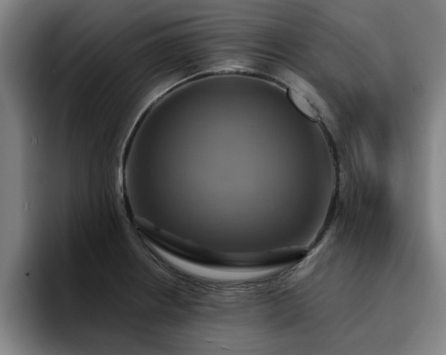 X0000094901234200712061022