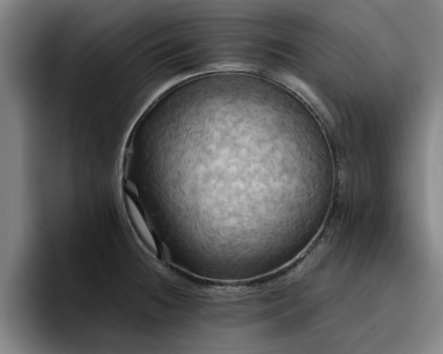 X0000094901236200712061022