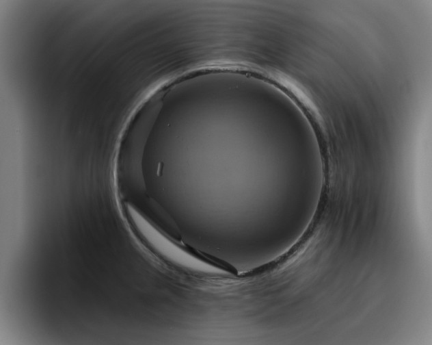 X0000094901237200712061022