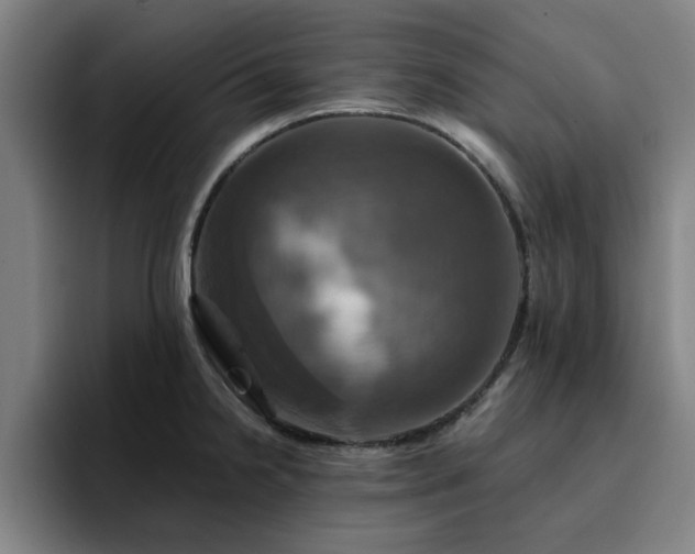 X0000094901238200712061022