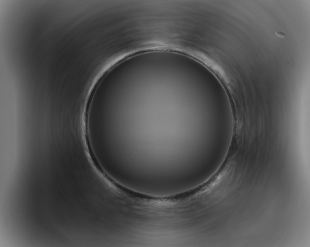 X0000094901239200712061022