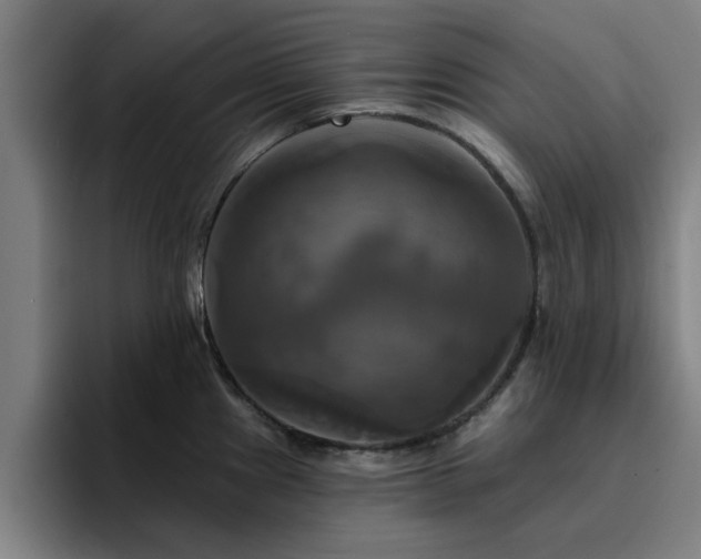 X0000094901241200712061022
