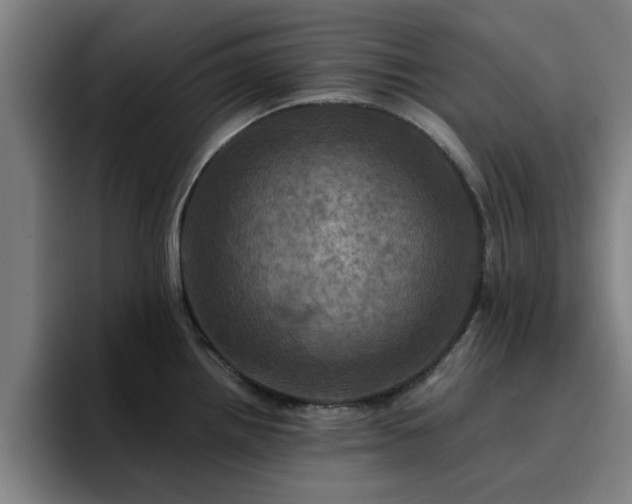 X0000094901242200712061022