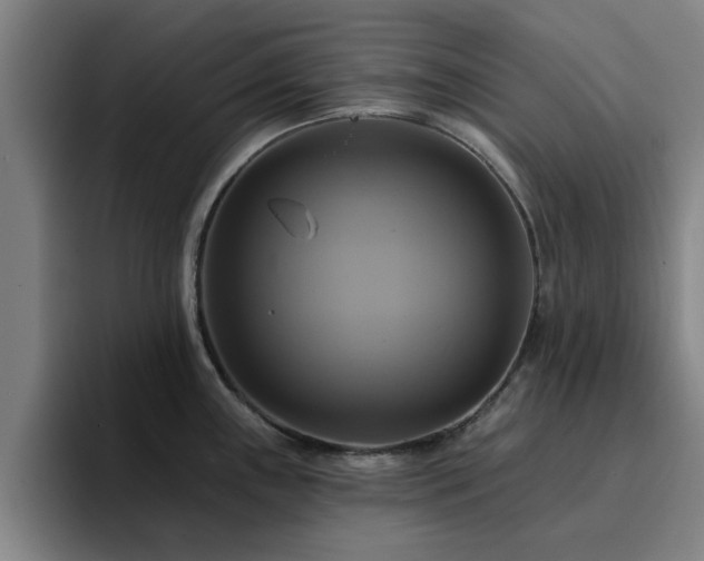 X0000094901243200712061022