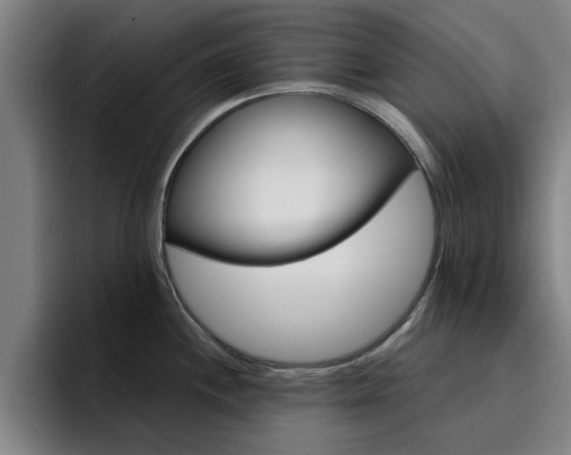 X0000094901244200712061022