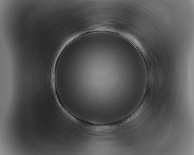 X0000094901247200712061022