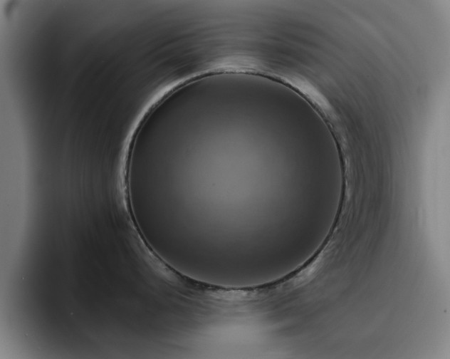 X0000094901248200712061022