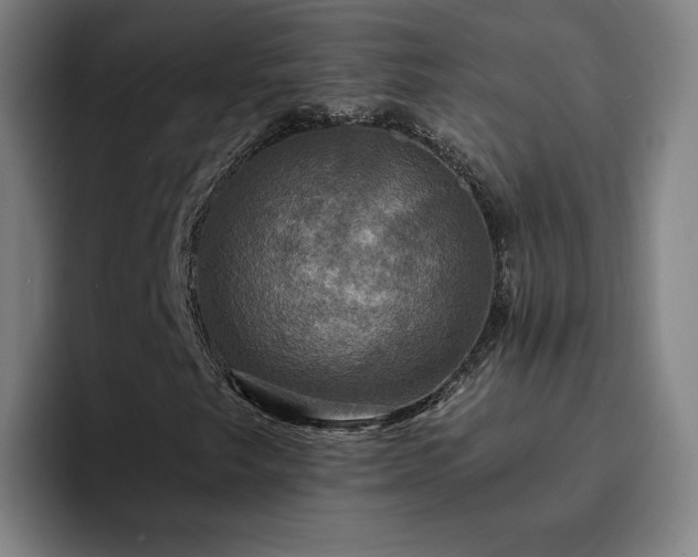 X0000094901249200712061021