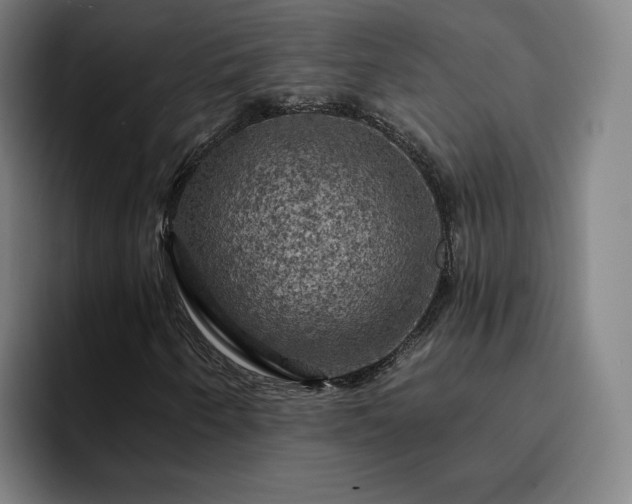 X0000094901250200712061021