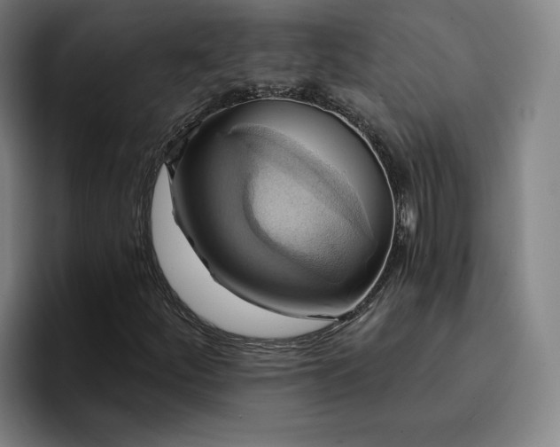 X0000094901252200712061021