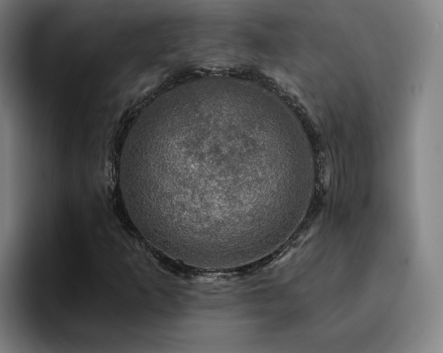 X0000094901253200712061021
