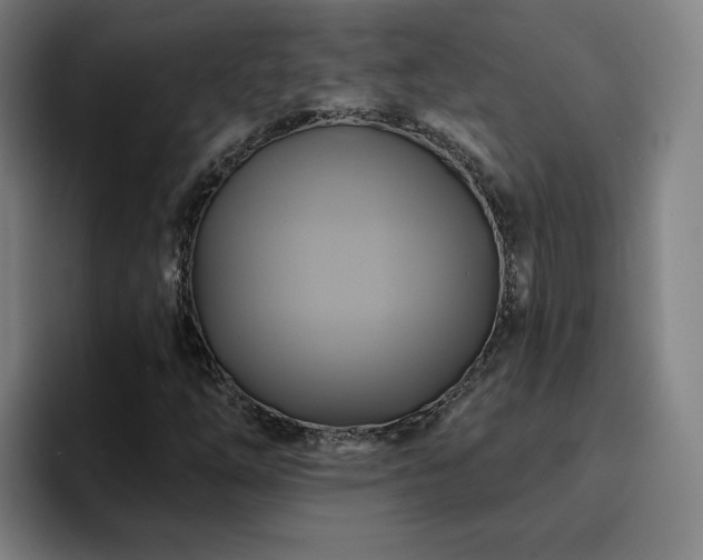 X0000094901254200712061021