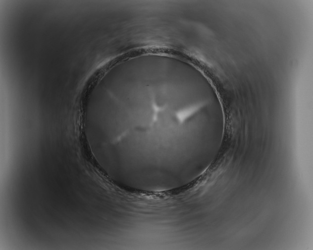 X0000094901255200712061021