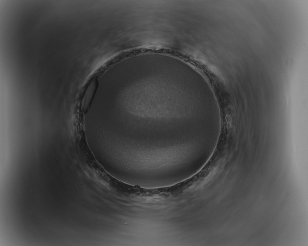 X0000094901256200712061021