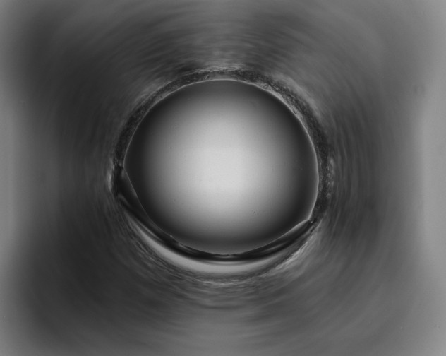 X0000094901257200712061021