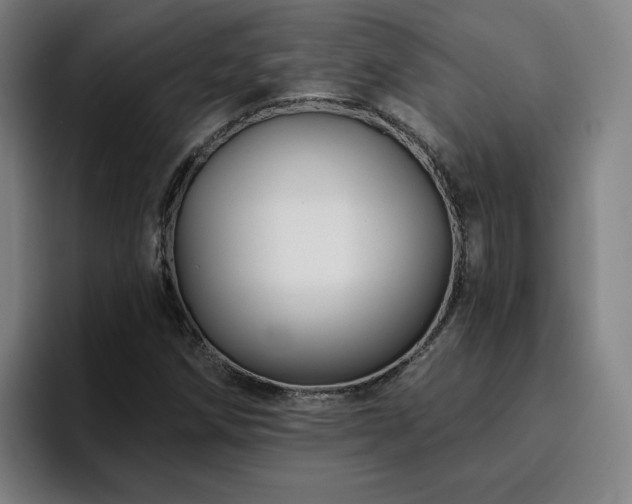 X0000094901258200712061021