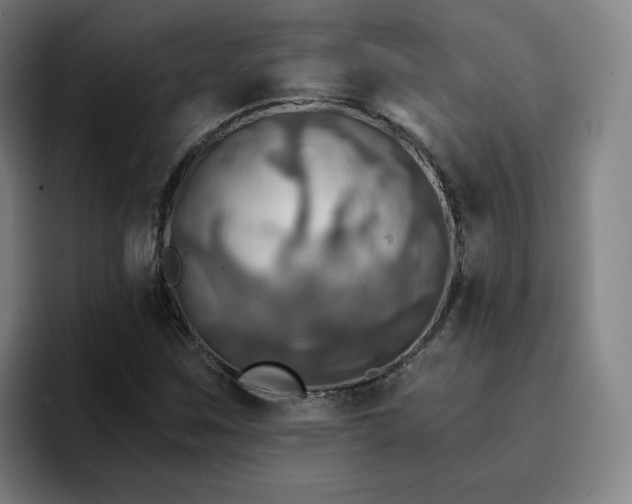 X0000094901259200712061021