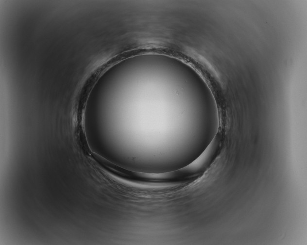 X0000094901261200712061021