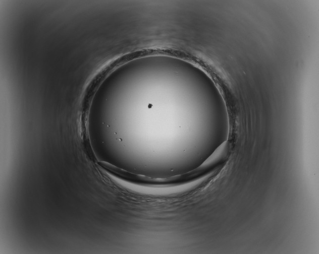 X0000094901262200712061021