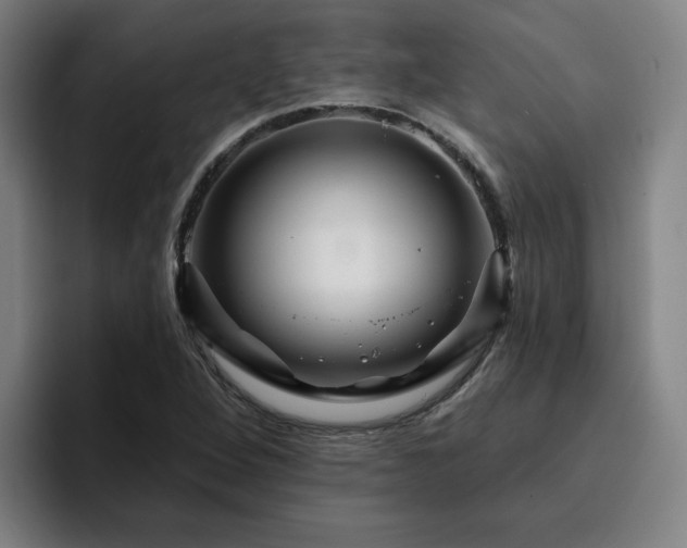 X0000094901264200712061021