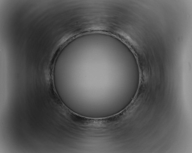 X0000094901266200712061021