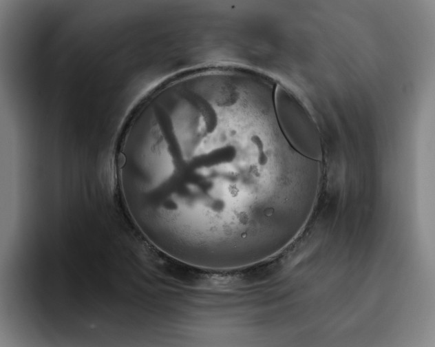 X0000094901271200712061021
