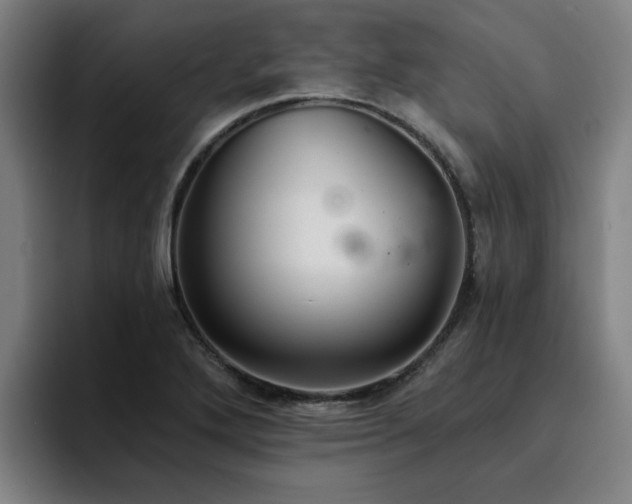 X0000094901272200712061021