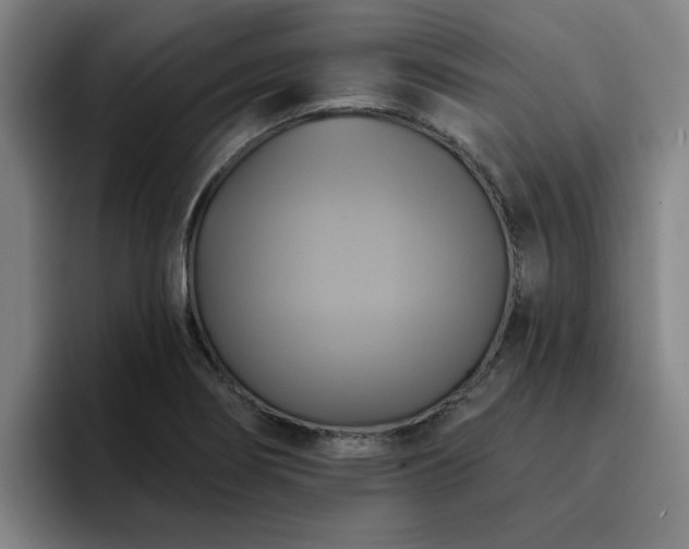 X0000094901274200712061021