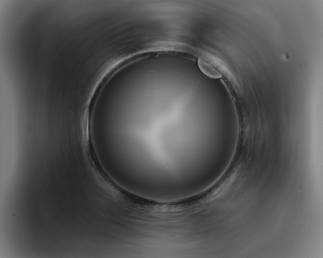 X0000094901275200712061021