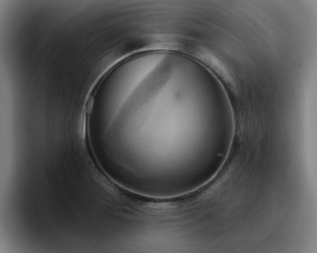 X0000094901276200712061021