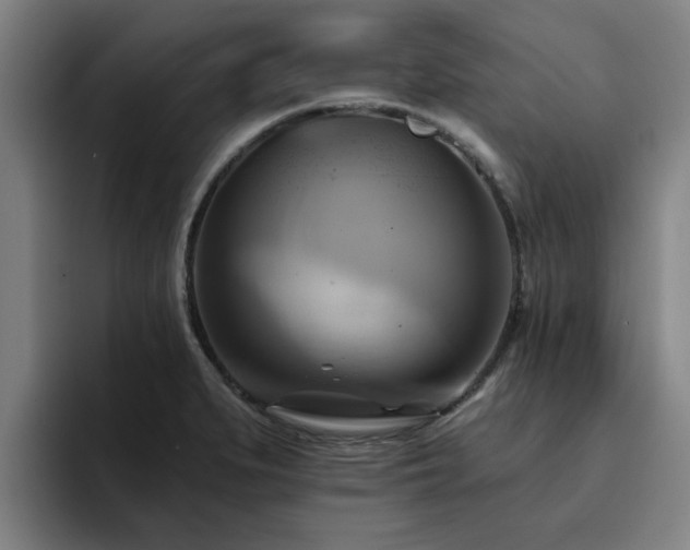 X0000094901279200712061021