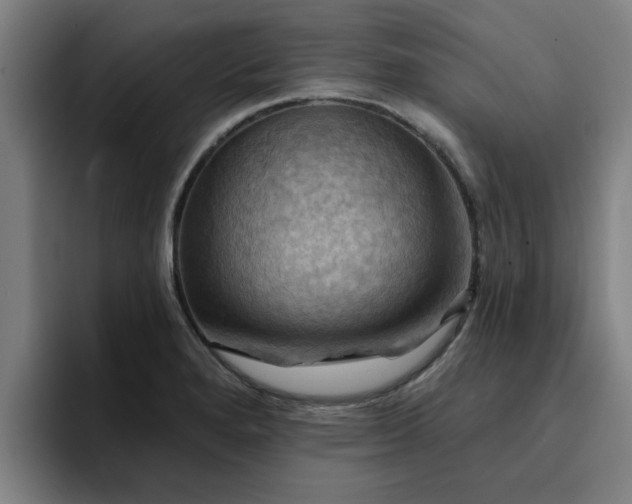 X0000094901280200712061021