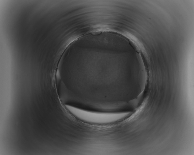 X0000094901289200712061021
