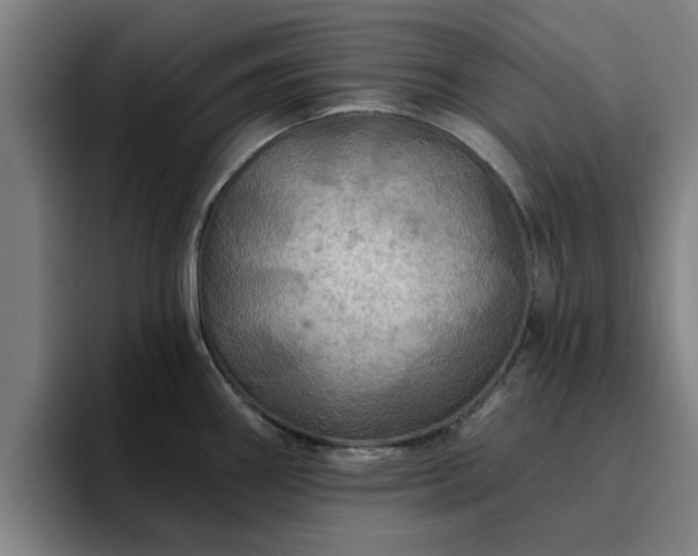 X0000094901290200712061021