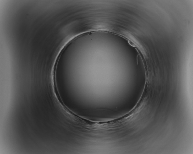 X0000094901291200712061021