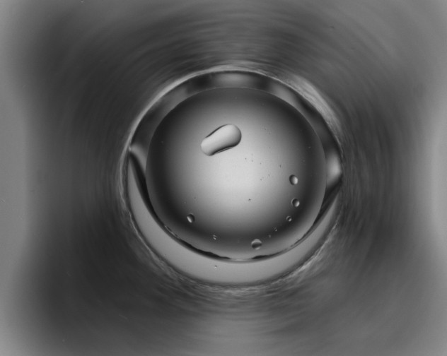 X0000094901292200712061021
