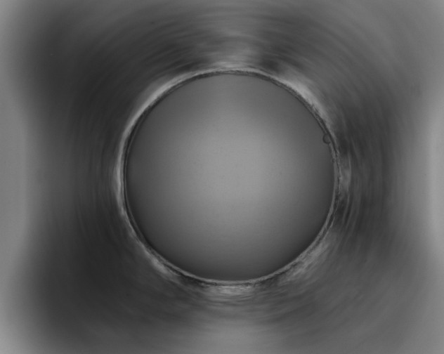 X0000094901294200712061021