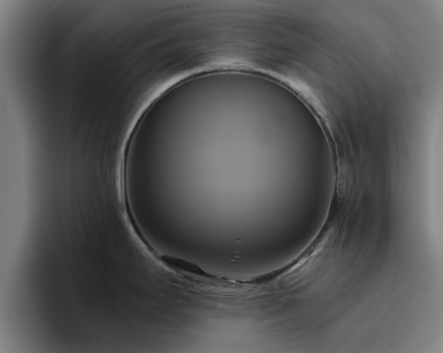 X0000094901295200712061021