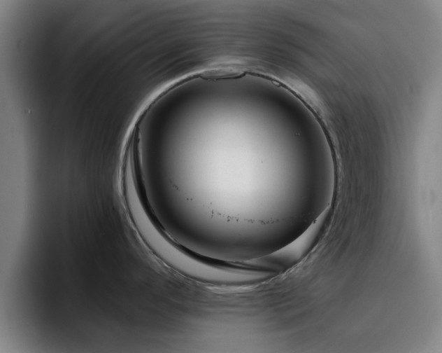 X0000094901296200712061021