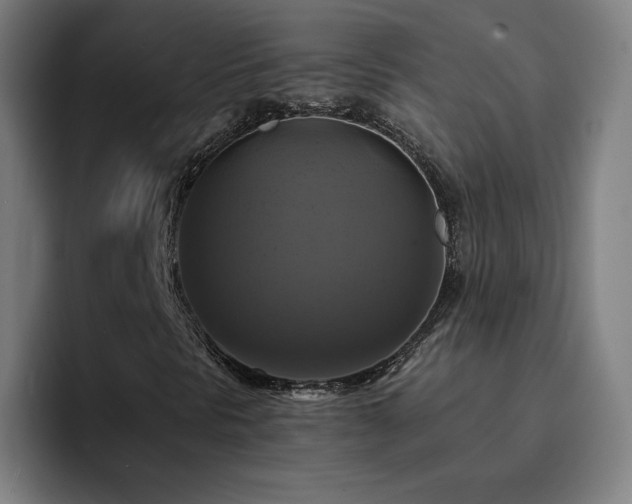 X0000094901297200712061020