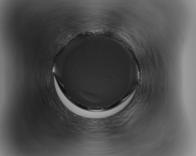 X0000094901298200712061020