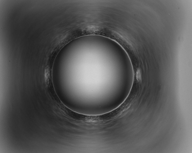 X0000094901299200712061020