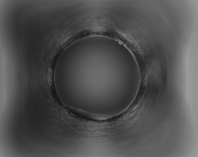 X0000094901301200712061020