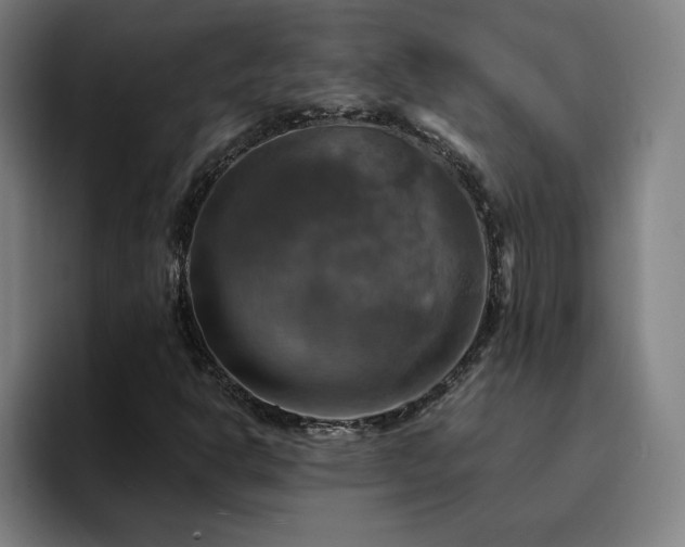 X0000094901302200712061020