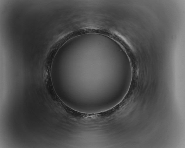 X0000094901303200712061020