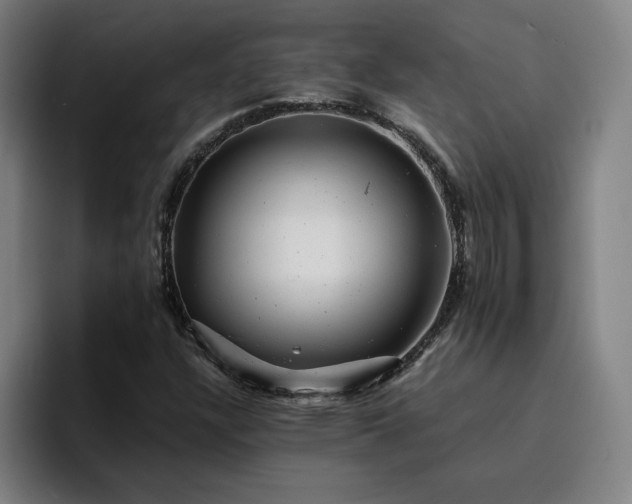 X0000094901304200712061020