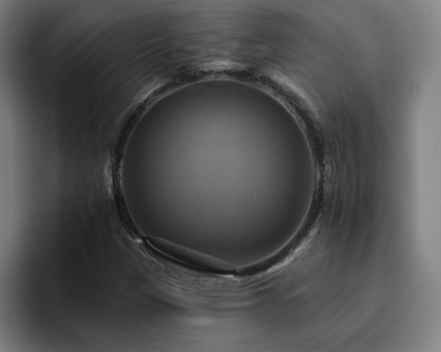 X0000094901305200712061020