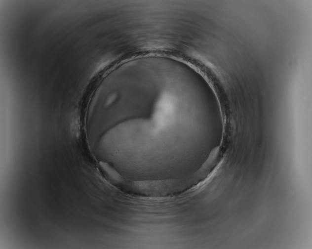 X0000094901306200712061020