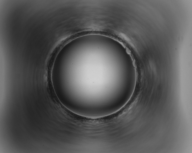 X0000094901307200712061020